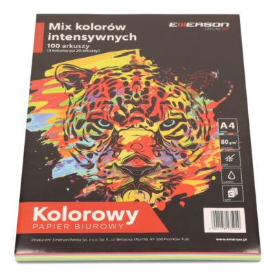 Papier ksero A4 mix kolor intensywnych 100 kartek